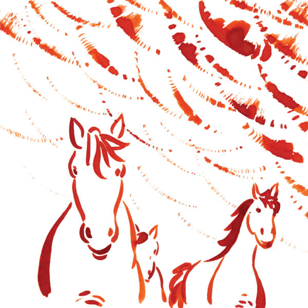Les chevaux de pluie suivi de Les blessures de la terre – Image 4
