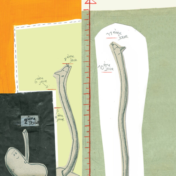 Tom & Rico – Image 6