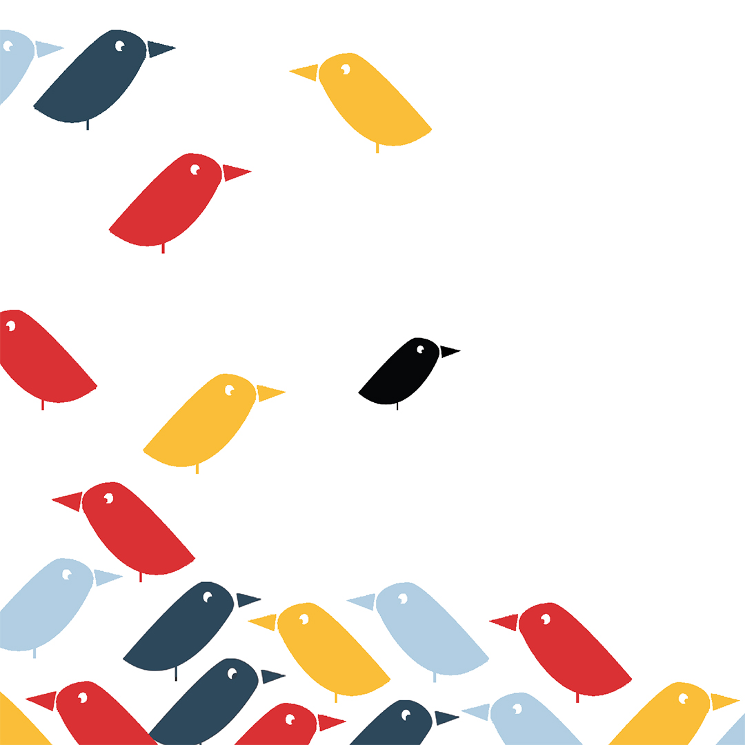 Le chant d'un oiseau – Image 5